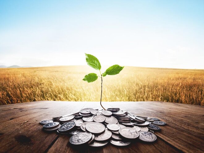 The Rise of ESG Investing: How to Profit from Doing Good